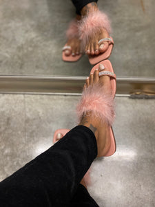 Show Off